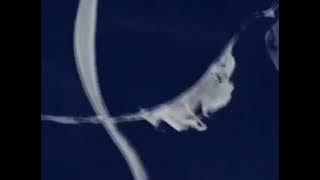 Alan Landsburg-Don Kirshner Productions/Alan Landsburg Productions/FremantleMedia (1978/1979/2001)