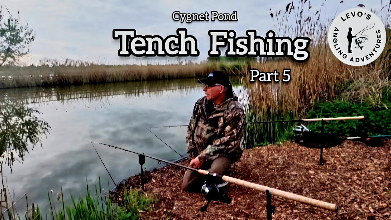 Tench Fishing 2025 | Fishing Cygnet Pond | Hull & District Angling Association 