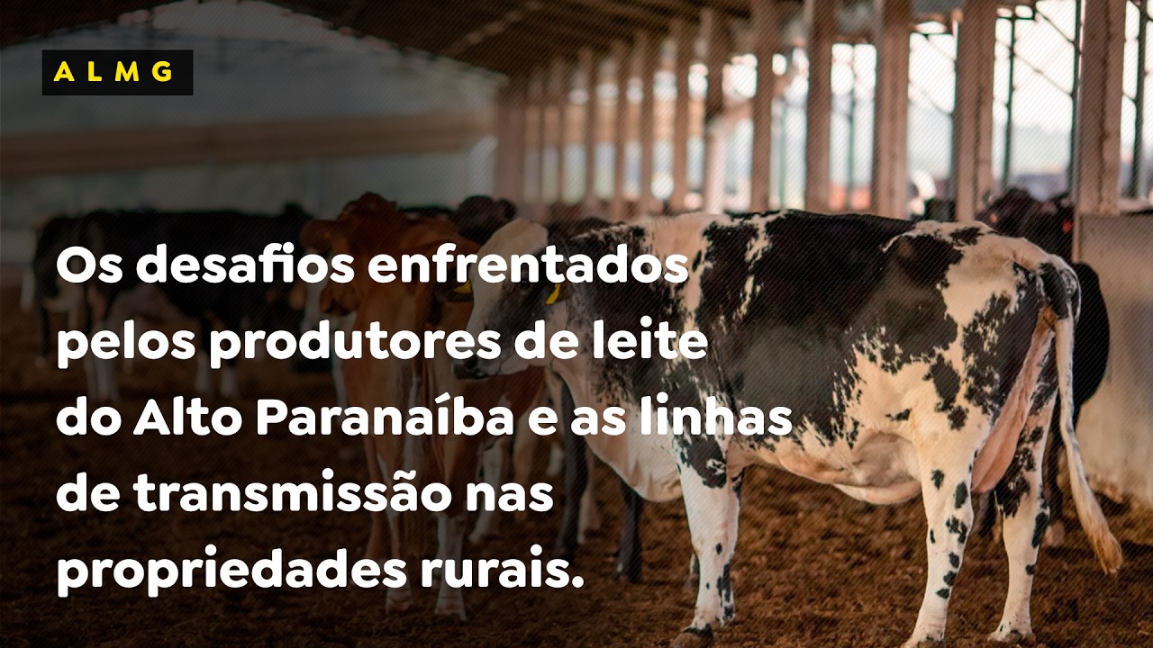 Os desafios enfrentados pelos produtores de leite do Alto Paranaíba.