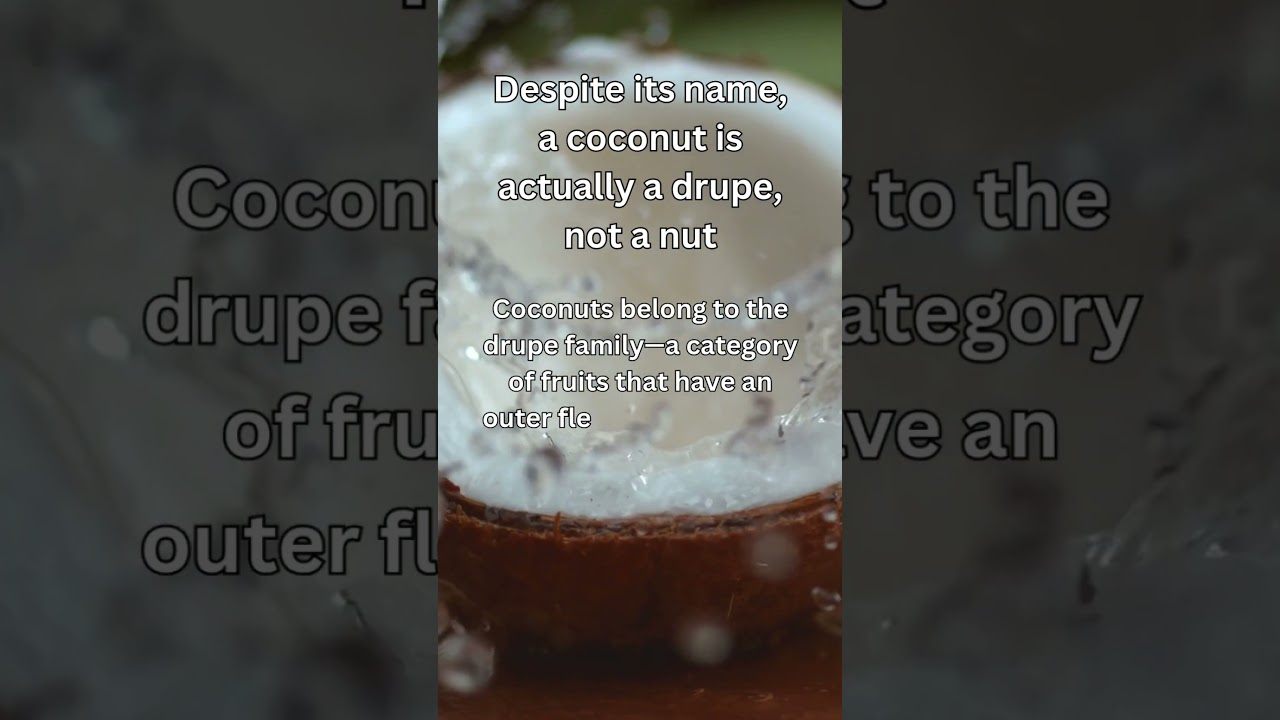 Coconuts: Not Nuts, But Drupes!