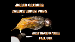 Simon's Jigged October Caddis Super Pupa: Must Have Jigged Fall Nymph Tying Tutorial