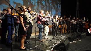 Demeter Panni, Tokos Zenekar És Barátaik: Gyolcs Az Ingem