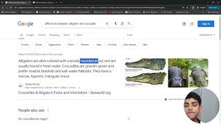 Software Engineer Explains Difference Between Alligator and Crocodile screenshot 4
