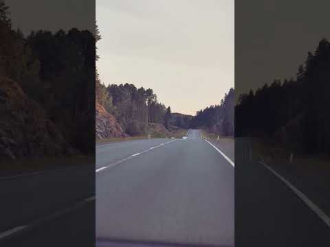 Поворот не туда и ты ловишь иностранные радиостанции 😅 Карельские скалы