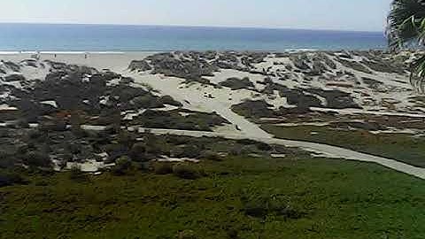 Protocol Video Drone AP Crash