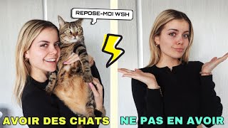 AVOIR DES CHATS VS NE PAS EN AVOIR