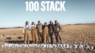 Snow Goose Hunting! 100 BIRD DAY!