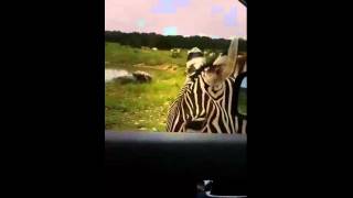 Celebrity LiveLeak.com - Now that's fkucing hilarious Wealth