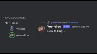 Free and advanced Discord Text to Speech | Wamellow | #discord #texttospeech #tts