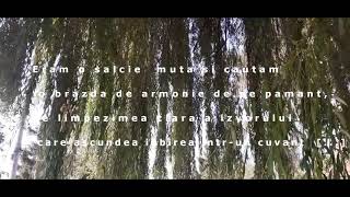 Salcia.