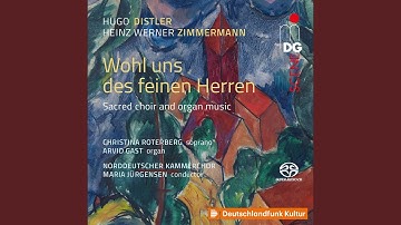 Orgelsonate, Op. 18, No. 2: II. Einleitung: Sehr erregte Achtel - Gehende Viertel - Gelassen