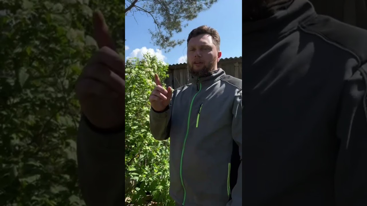 Перевозим птенцов в новый курятник. Chicken house 