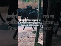 शेतकरी #nature #shetkari