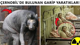 Çernobil Ve Pripyatta Bulunan En Ürkütücü 10 Şey