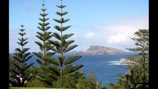 CEMARA BIRU SAMPAIKAN SALAMKU NOER HALIMAH