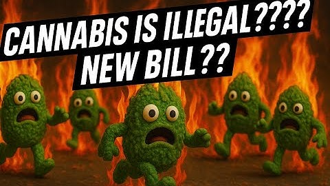 Is Cannabis Finished?!?!  The Internet Got This Wrong