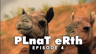 PLnaT eRth | Episode 4