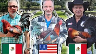 Los 3 Mejores En Hatch Quien Falta?