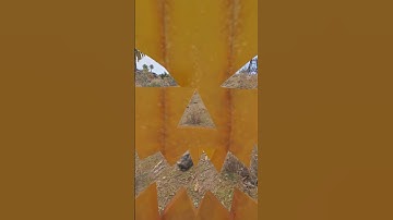 Rood vs camper BLOOPER #rust #shorts #rustgame #rusthighlights #playrust #rustgameplay #redvsblue