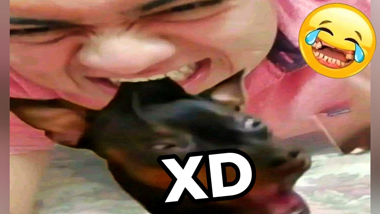 SI TE RÍES PIERDES NIVEL DIOS😂🤣 [999.99 IMPOSIBLE NO REÍRSE]🥶Videos De Risa Muy Graciosos 😁