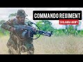 Commando regiments srilanka army  historical overview and organizational structure