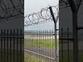 #morning  #run #at #the #airport  #runway #shortvideo #jogging  #walking #travel