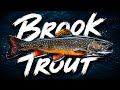 The Fish You’ve Been Calling a ‘Brook Trout’ Isn’t a Trout