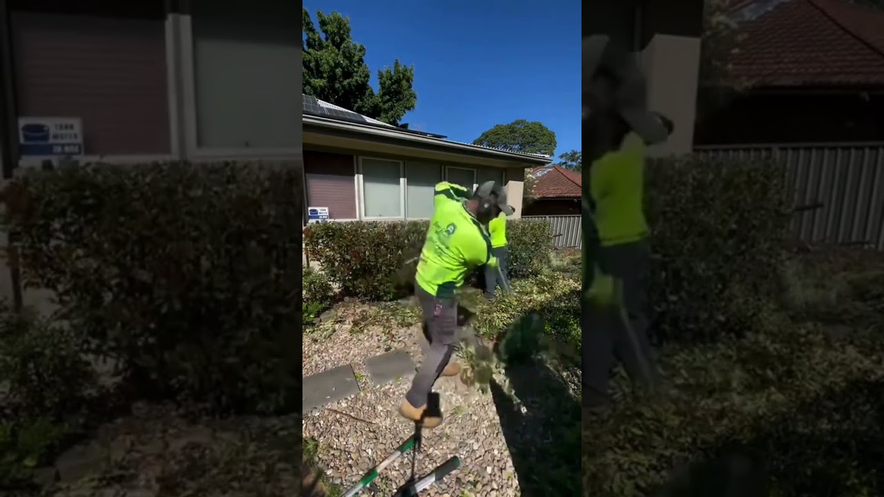 Jim’s Mowing provides reliable hedge trimming services, leaving your yard looking sharp and tidy