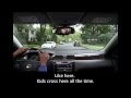 “Close Call”: Pedestrian Safety for Young Drivers