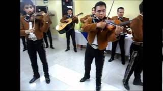 Huapango de Moncayo Mariachi. chords