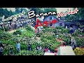 Facts To Know About Asia S Largest Banana Market Facts To Know About Asia S Largest Banana Market