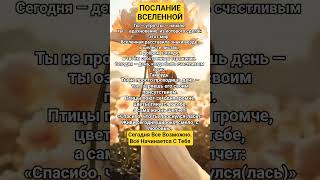 ПОСЛАНИЕ ВСЕЛЕННОЙ🍀🩷🍀#просветление #осознанность #душа #любовь #топ #исцеление #сила #счастье