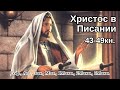 43-49 Христос сокрытый в Писании