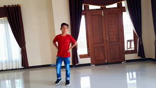 Pinguin Dance Albania