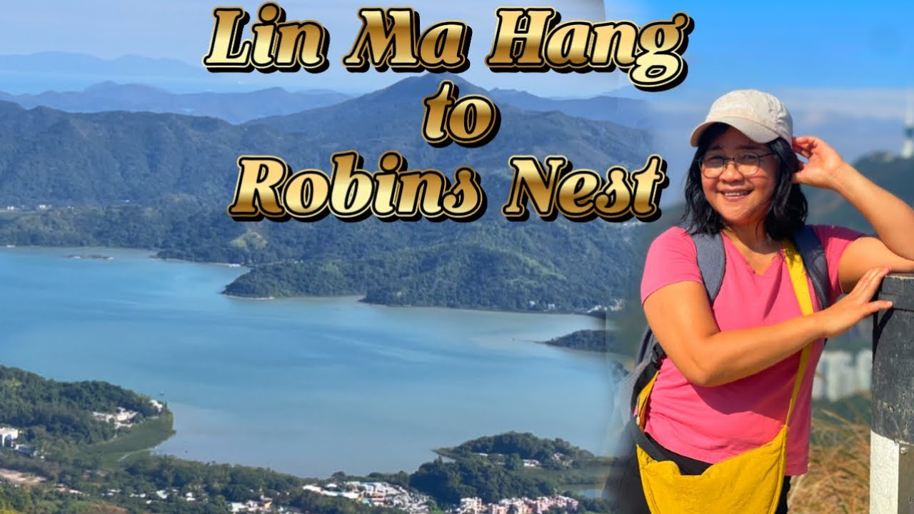 Лин Ма Ханг в гнездо малиновки