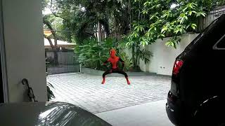 Dancing Spiderman - budots