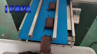 Línea De Producción De Barra Energética De Proteína De Chocolate De Pequeña Capacidad