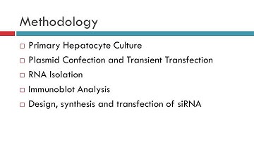 Insulin Regulation of Glucokinase Gene Expression