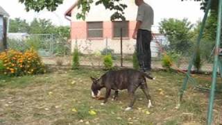 Amálka-7.Díl-Hraní S Ouškem A Provazem