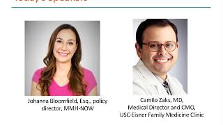 CIN Webinar — Better Care for Women with Maternity-Related Mental Health Needs