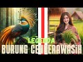 Legenda Asal usul Burung cenderawasih. Cerita rakyat dari Papua Indonesia.