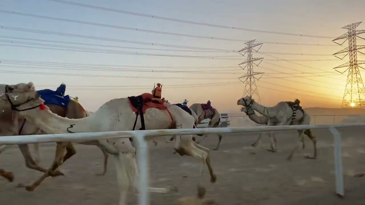 الشوط الاول ثنايا فما فوق مسافة ٥ كم