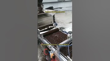 Fully Automatic Nursery Seeding Machine for Vegetable Seedlings Raising #nursery #seeding