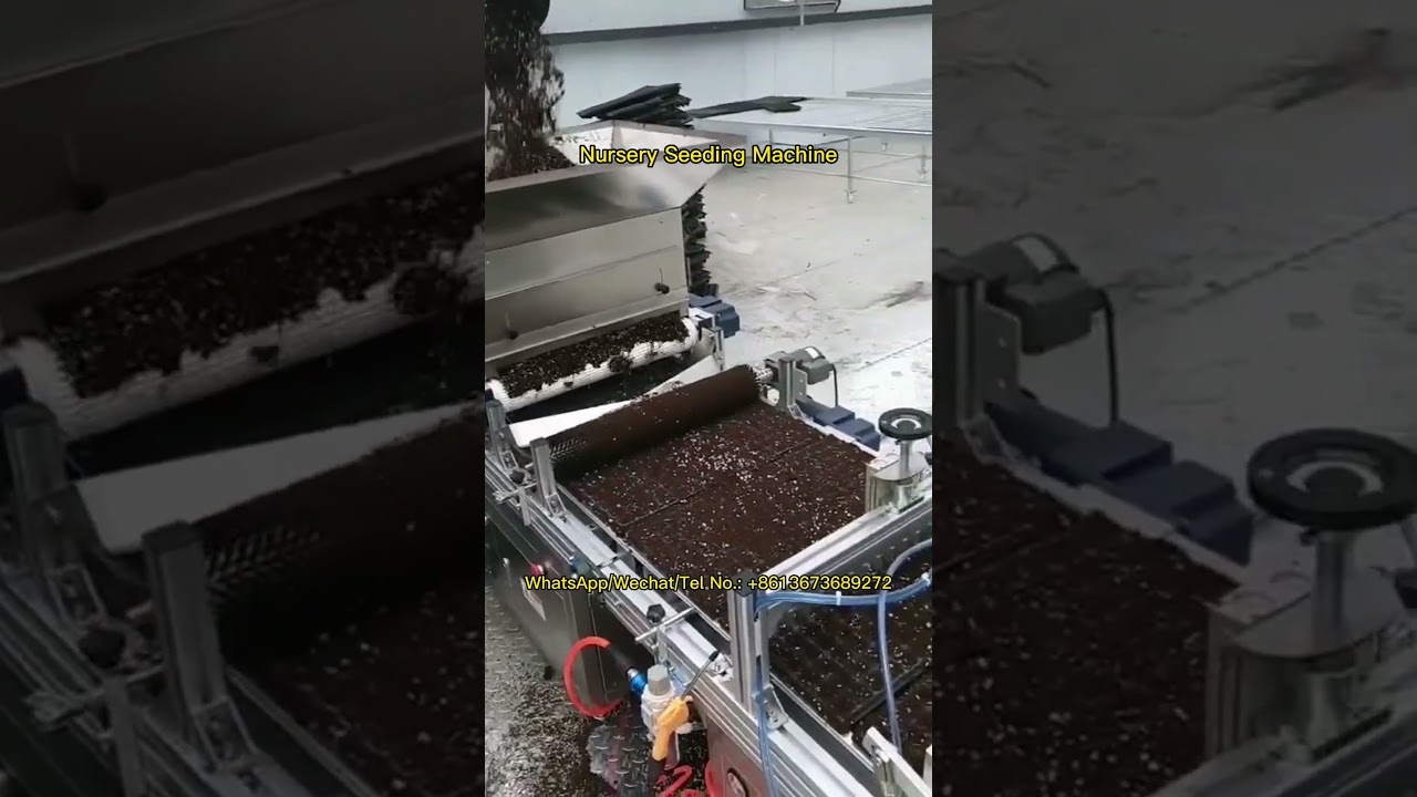 Fully Automatic Nursery Seeding Machine for Vegetable Seedlings Raising 