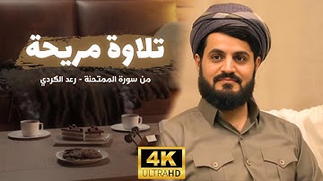 سورة الممتحنة بصوت الشيخ رعد الكُـردي | Raad Al Kurdy Surah Al-Mumtahanah