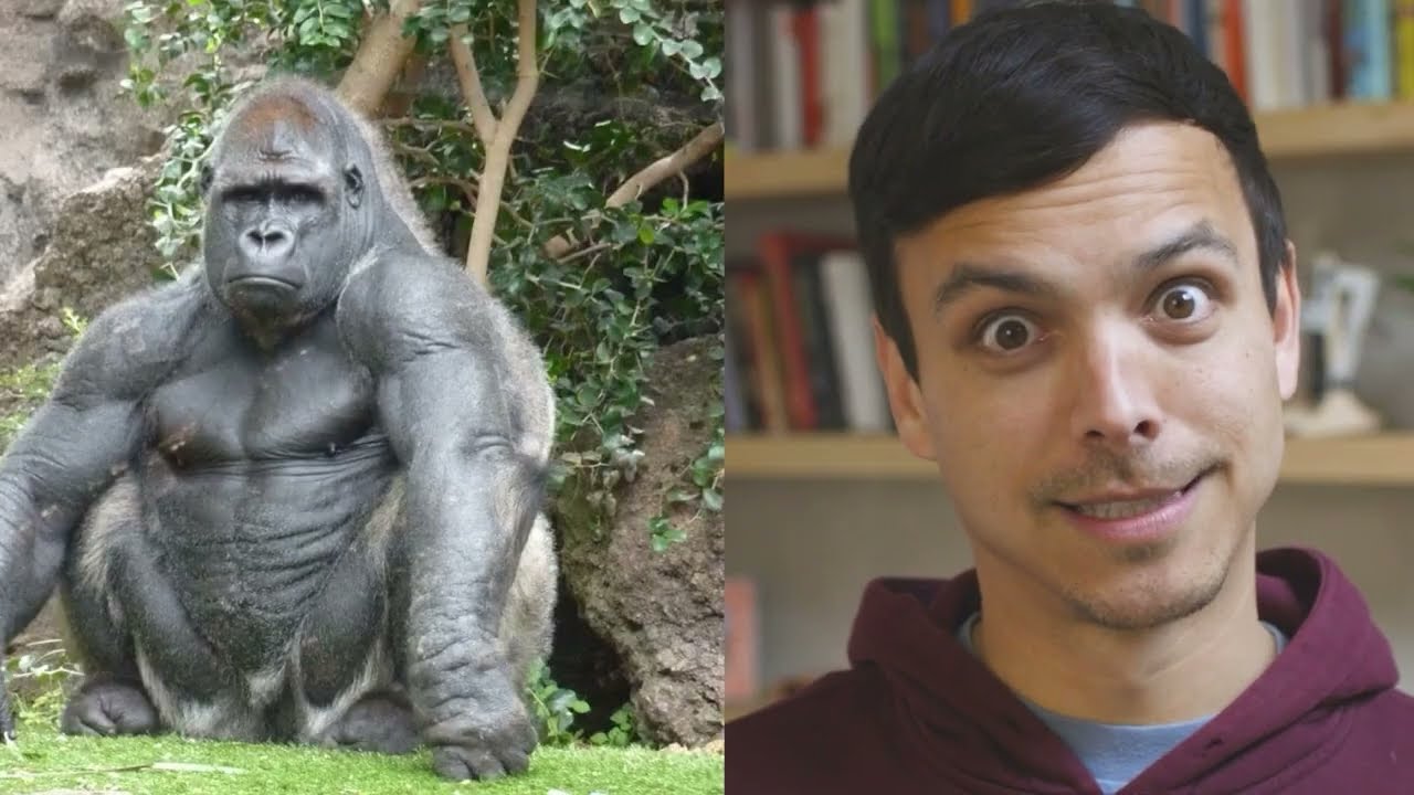 Cowspiracy Fact Check - Unraveling the Truth Behind a Controversial Documentary