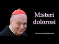 Mons angelo comastri  misteri dolorosi del santo rosario