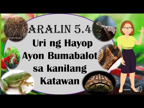 Video: Group Therapy - Anong Uri Ng Hayop Ito?