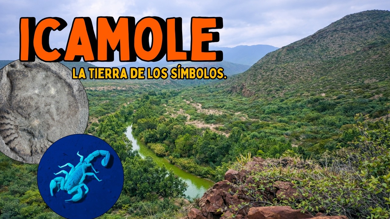 ENTRE ALACRANES Y MONTAÑAS 🌵 | Explorando el Desierto de ICAMOLE