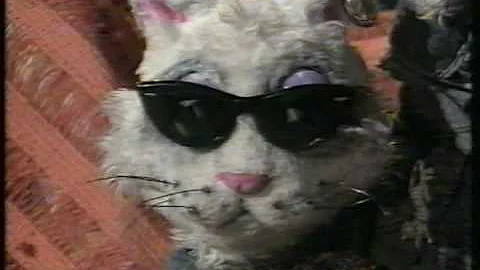 The Ferals Intro/Opening